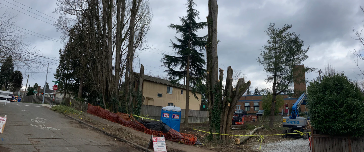 residential lot being excavated seattle wa 1